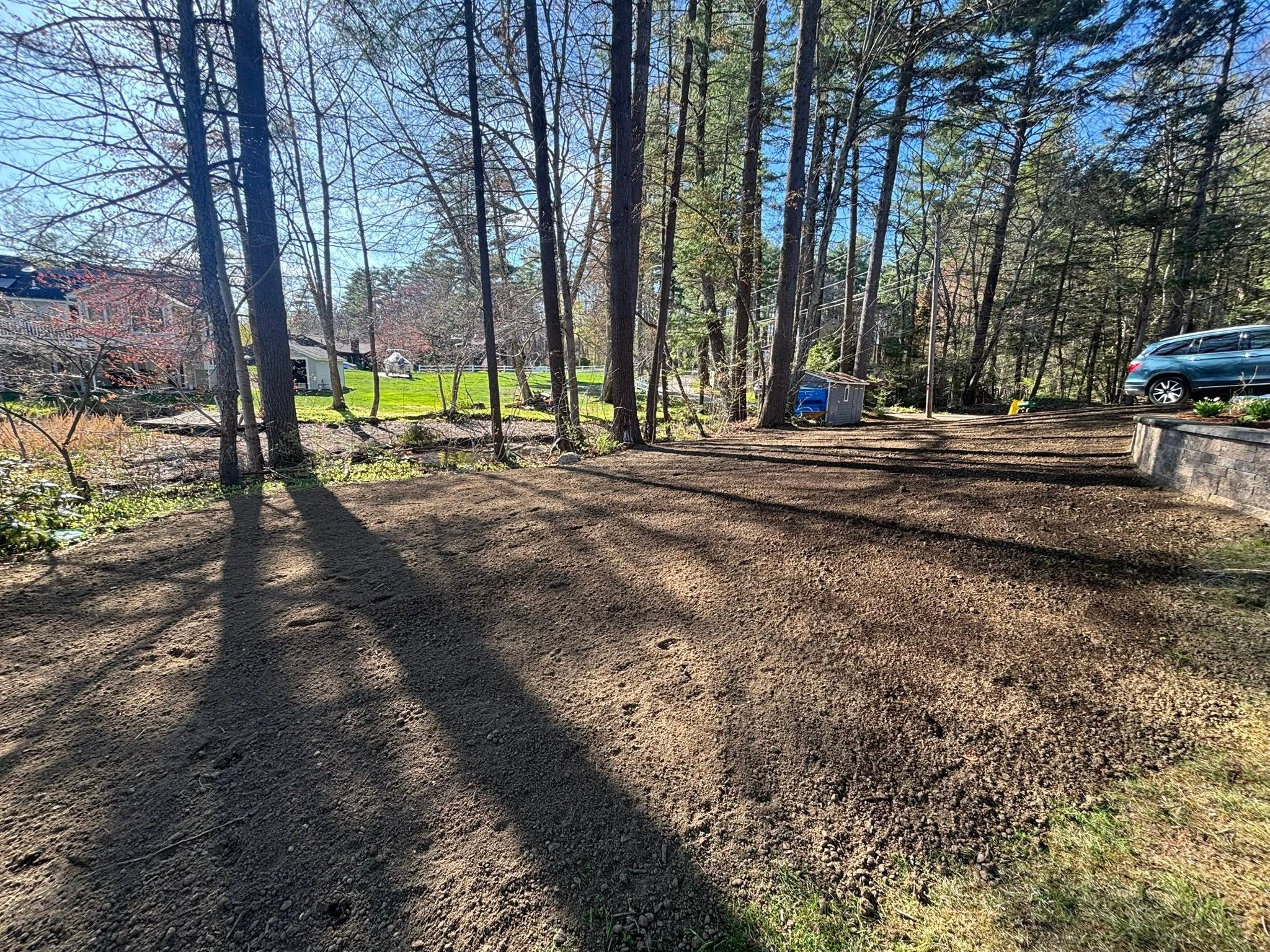 Finished backyard with new loam grade and drainage